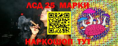индика Лесосибирск