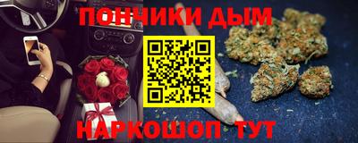 индика Лесосибирск