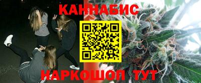 индика Лесосибирск