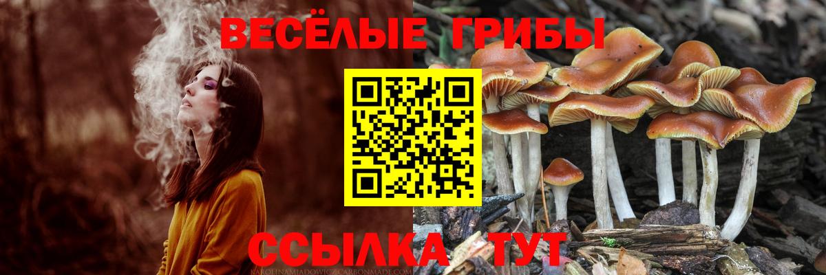 Киров  Псилоцибиновые грибы мухоморы  Вход с VPN 