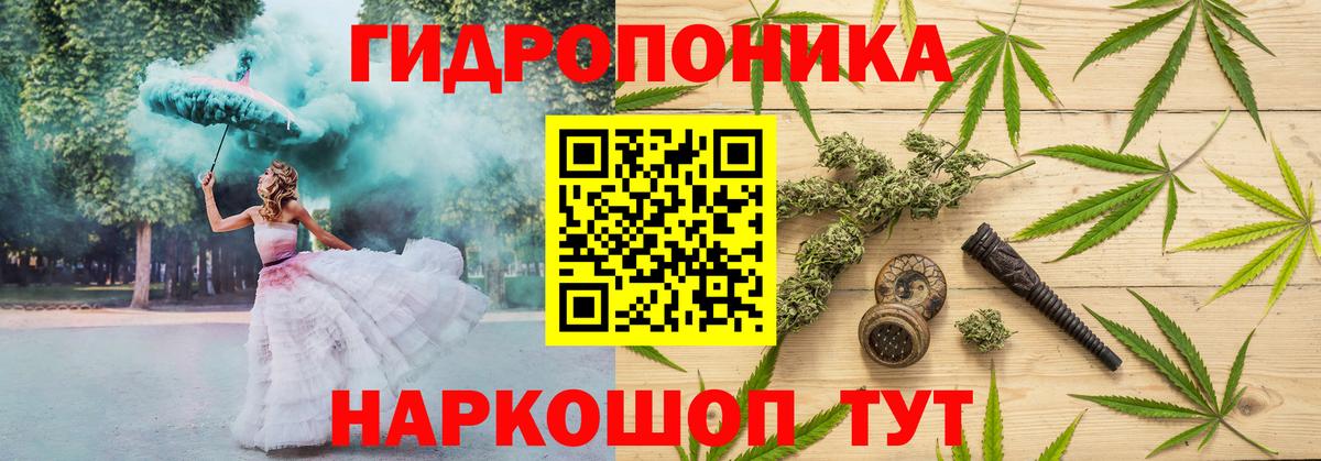 Шишки марихуана планчик  Каннабис AK-47  Вход с VPN  Конопля White Widow  Киров  Марихуана сатива 